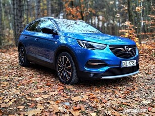 Opel Grandland X 4x4 Hybryda plug in moc 300MK Bezwypadkowy