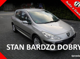 Peugeot 307 1.4 Navi Kamera Stan idealny bez rdzy i korozji bezwyp Gwaranc…