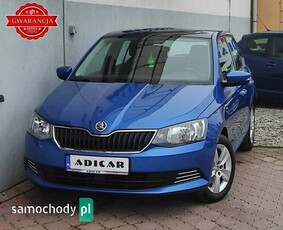 Skoda Fabia III