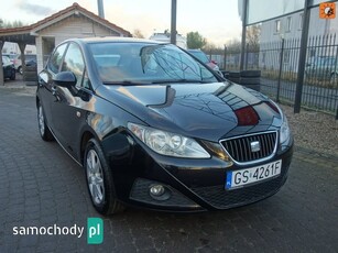 SEAT Ibiza Inne