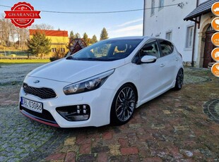 Używany Kia Ceed 2015