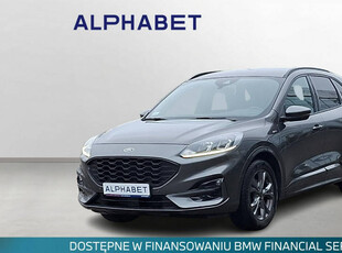 Ford Kuga Ford Kuga 1.5 EcoBoost FWD ST-Line III (2019-)