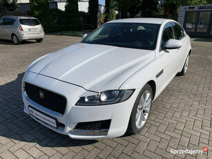 Jaguar XF Jaguar XF 2.0d 241 KM X260 (2015-)