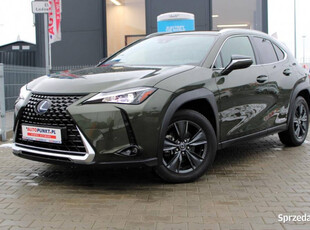 Lexus UX, 2021r. 250h HYBRID || Kamera || Skóry || HUD || BLIS || FV23%