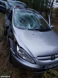 Peugeot 307 1.6