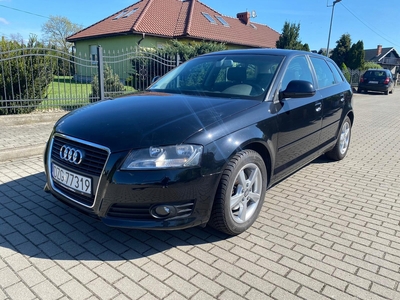 Audi A3 8P Hatchback 3d 1.4 TFSI 125KM 2009