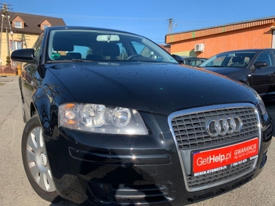 Audi A3 8P Hatchback 3d 1.6 102KM 2008