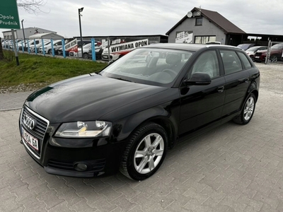 Audi A3 8P Hatchback 3d 1.6 102KM 2009