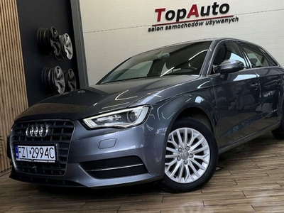 Audi A3 8V Hatchback 3d 2.0 TDI 150KM 2013