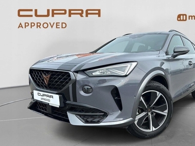 Cupra 2022