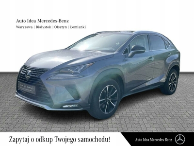 Lexus NX I SUV Facelifting 300 238KM 2020