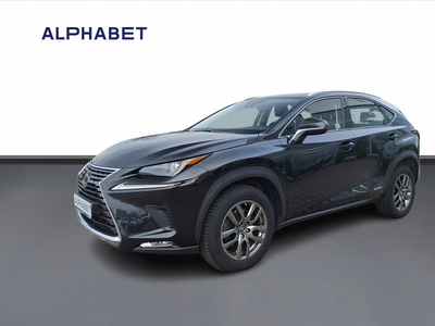 Lexus NX II 2021