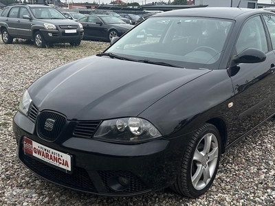 SEAT Ibiza V