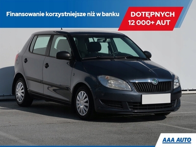 Skoda Fabia II Hatchback Facelifting 1.6 TDI CR DPF 75KM 2011