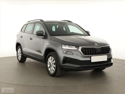 Skoda Karoq , 1. Właściciel, Serwis ASO, Klimatronic, Tempomat,