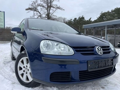 Volkswagen Golf V Hatchback 1.6 i 102KM 2006