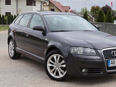 Audi A3 8P Hatchback 3d 1.6 102KM 2007