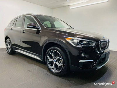 BMW X1 2019 245 KM II (F48) (2015-)