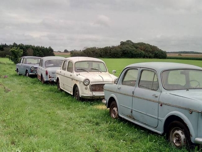 Fiat 1100 Millecento 103