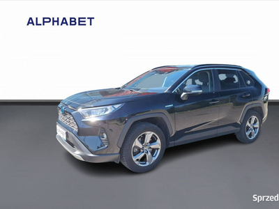 Toyota RAV-4 Toyota RAV4 2.5 Hybrid Comfort 4x4 V (2018)