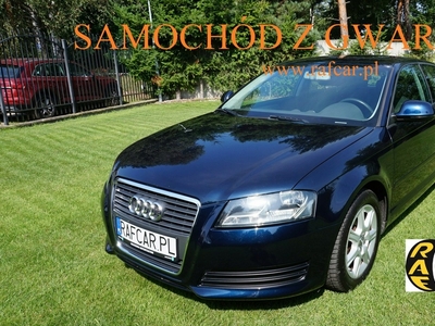 Audi A3 8P Hatchback 3d 1.4 TFSI 125KM 2010