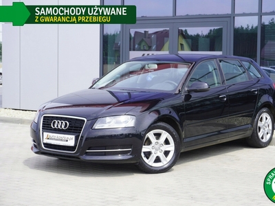 Audi A3 8P Hatchback 3d 1.6 102KM 2010