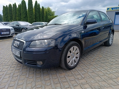 Audi A3 8P Hatchback 3d 2.0 TDI PD 140KM 2006