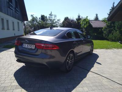 Piękny Jaguar XE