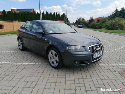 Audi a3 8p 2006 2.0 tdi 8v BMM 140 KM