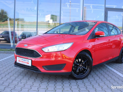 FORD Focus, 2015r. Salon PL, Klimatyzacja, Grzana Szyba, Czujniki Tył