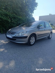 Peugeot 307 1.6 B+G Sekwencja 2003r