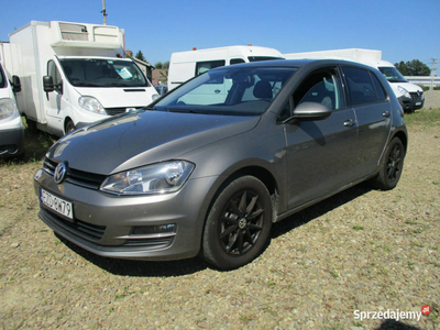 Volkswagen Golf 1.6 TDI 105KM DSG VII (2012-)