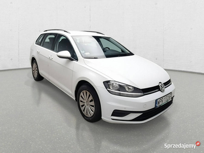 Volkswagen Golf VII (2012-)