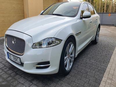 Jaguar XJ VII X351 Sedan SWB 3.0 V6 S/C 340KM 2014