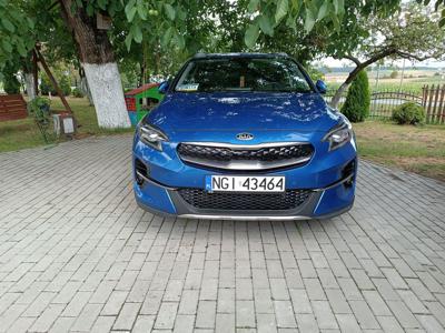 Kia Xceed 1.6 hybryda business line. Bezwypadkowy, salon pl