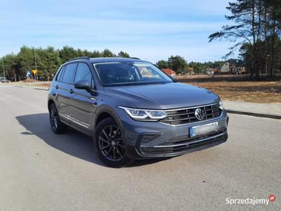 Volkswagen Tiguan Active 1.5 TSI DSG Kamera Matrix Hak