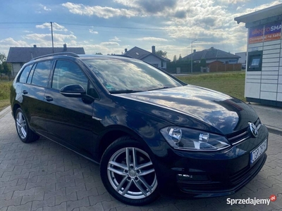 Volkswagen Golf VII