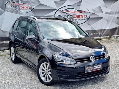 Volkswagen Golf VII Variant 1.6 TDI BlueMotion Technology 110KM 2014