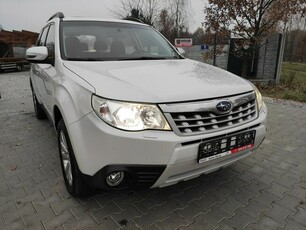 Subaru Forester 4x4 Panorama , kamera , Xenon itp... Polecam