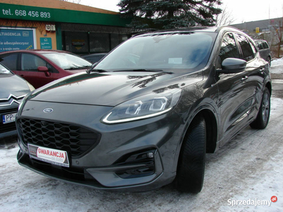 Ford Kuga 1.5 E 150 KM ST-Line Ful Opcja III (2019-)