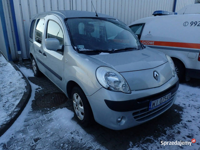 Renault Kangoo III (2008-2013)