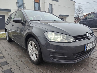 Volkswagen Golf VII Tylko 73 tys.km Jak Nowy Navi Grzane Dupki Faktura