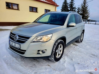 Vw Tiguan Igła Panorama