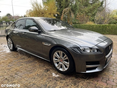 Jaguar XF 20d R-Sport Ingenium Edition