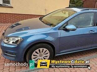 Volkswagen Golf Inne