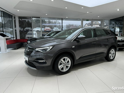 Opel Grandland X Edition S&S, Full LED, NAVI, SalonPL, 1-wł…