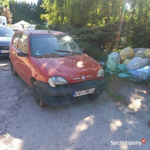 Seicento na części .