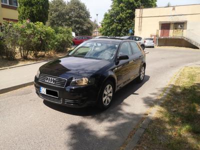 Audi A3 8L Hatchback 1.6 i 102KM 2003