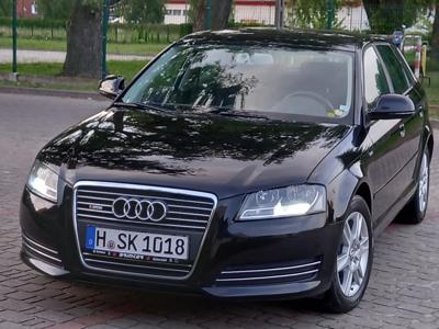 Używane Audi A3 - 29 900 PLN, 189 542 km, 2010