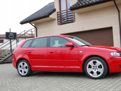 Audi A3 8P Hatchback 3d 1.6 102KM 2008